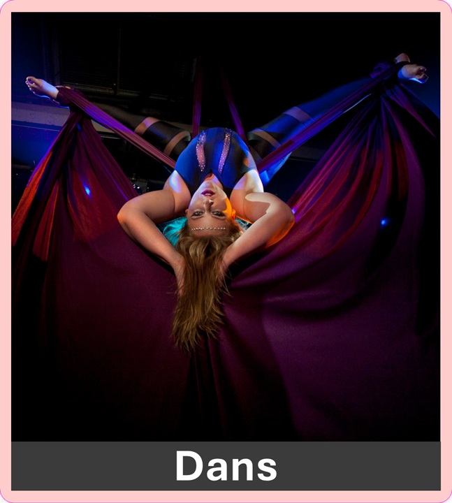 vrijgezellenfeest verjaardag naaktmodel schilderen bodypainting naakte butler sexy striptease stripper act pimpen karaoke cocktail erotisch uitje vriendinnen dag Amsterdam Amersfoort Arnhem Eindhoven Maastricht Nijmegen Tilburg Utrecht